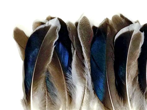 14 Lb Iridescent Blue Mix Mallard Duck Wing Wholesale Feathers
