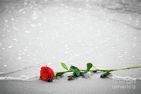 You can make this wallpaper for your desktop computer backgrounds, mac wallpapers, android lock screen or iphone screensavers. Waves washing away a red rose from the beach. Color against black and white. Love Photograph by ...