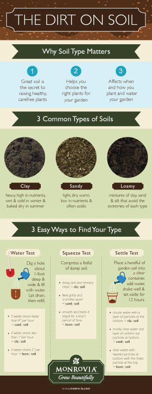The Dirt On Soil Why Soil Type Matters 1 Great Soil Is The Secret To