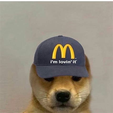 Daniel Meireles On Instagram Dogwifhatgang Doge Dog Dog Icon