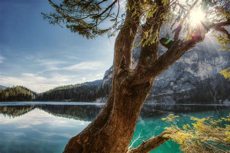 Free Images Nature Tree Reflection Water Sky Natural Landscape Branch Light Sunlight