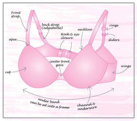 anatomy of a bra bra doctor s blog by now that s lingerie