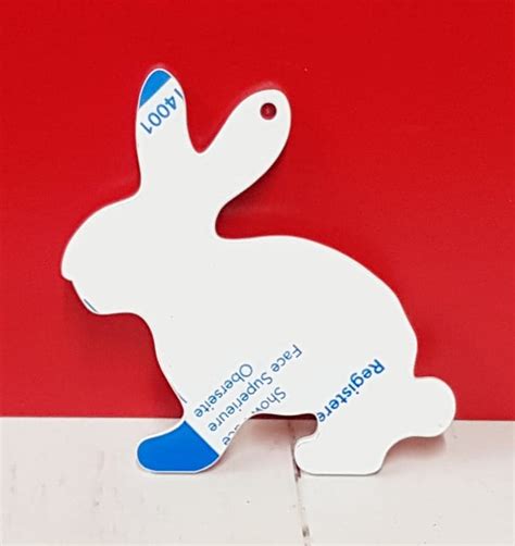 White Acrylic 10cm Hanging Rabbit Wc1172 Woodform Crafts