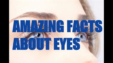101 Amazing Eye Facts Youtube