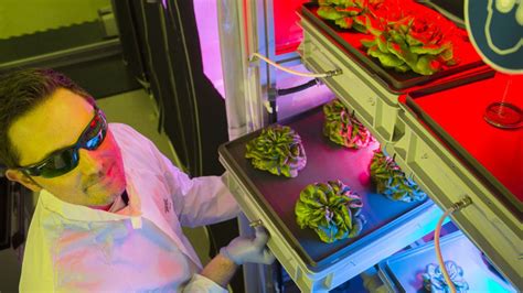 Die renovierungsbedürftige wohnung befindet sich im ersten obergeschoss. Eden ISS-Projekt - Forscher züchten Obst und Gemüse in der ...
