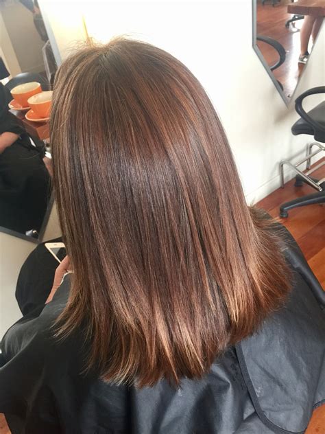 rich brown with caramel highlights brown with caramel highlights hair highlights hair color