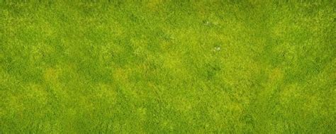 Grass To Highdefinition Picture Free Stock Photos In Image Format 