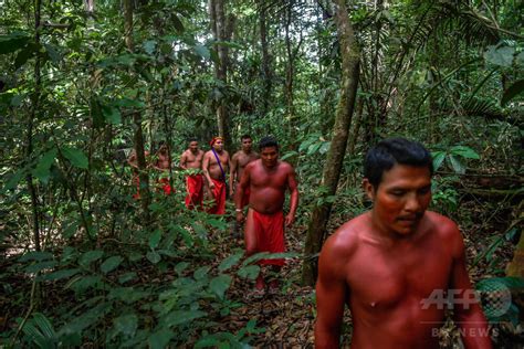 「最後の1人まで戦う」 採掘業者迫るアマゾンで矢を研ぐ先住民 写真9枚 国際ニュース：afpbb News
