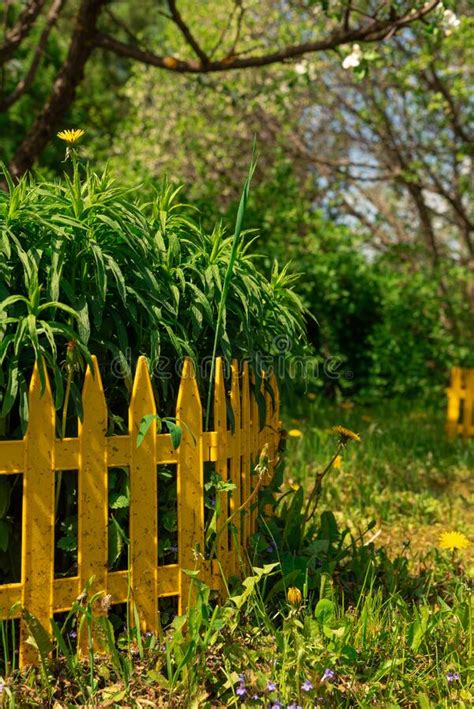 Yellow Decorative Fence For Flower Beds Flower Beds Stock Photo