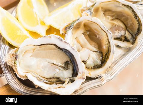 Raw Oysters Shells Stock Photo Alamy