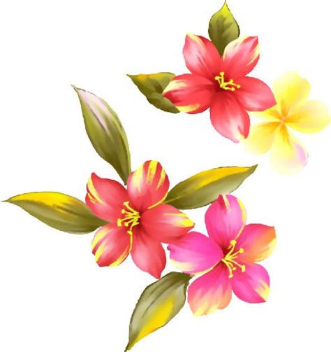 Flores Ilustraciones En Png Para Artesanía Y Diseños Primavera