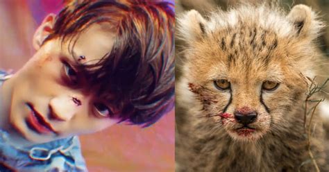 10 Moments Of Ncts Mark As An Adorable Baby Cheetah