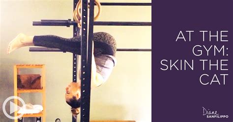 The skin the cat exercises is a great shoulder mobility and strengthening exercises that is the starting point that can eventually progress to a full back lever. At the Gym: Skin the Cat | Diane Sanfilippo