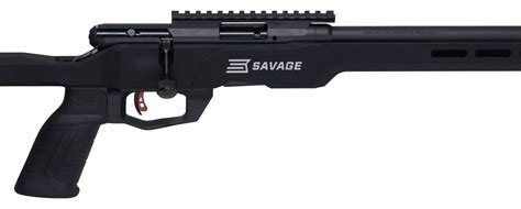 Savage Arms 70848 B17 Precision Bolt Action 17 Hmr Caliber With 101