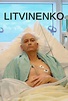 Litvinenko - Serie de TV - Cine.com