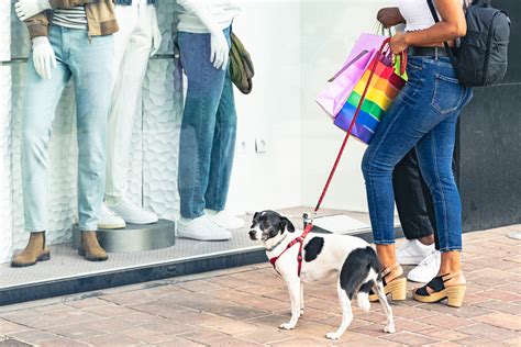 Nove Em Cada Dez Shoppings Adotam Ambientes Pet Friendly Mercado Consumo
