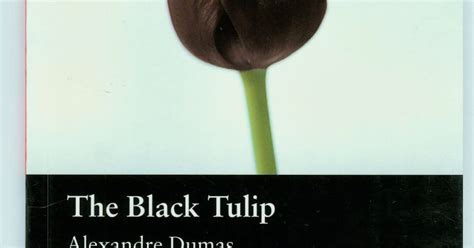 Amandas Skolblogg The Black Tulip