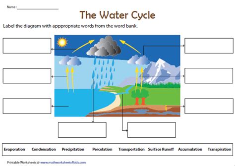 Label The Water Cycle Diagram Water Cycle Worksheet Water Cycle