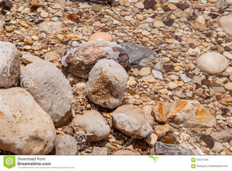 Minerals Of Dead Sea Stock Photo Image Of Seascape Coastal 56131184