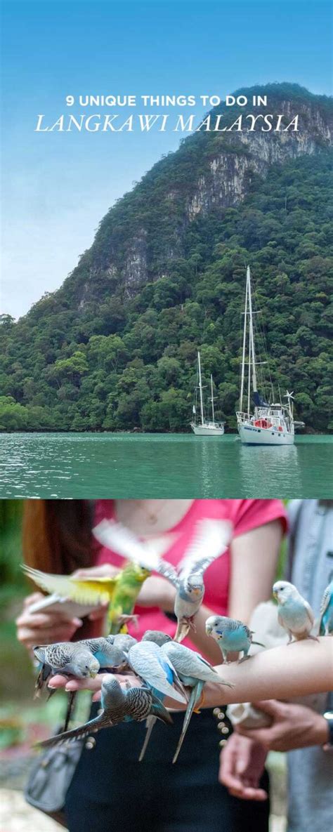 9 Unique Things To Do In Langkawi Malaysia Local Adventurer