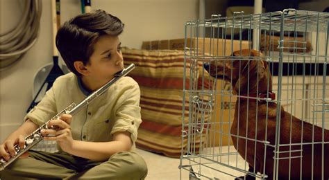 Wiener Dog 2016 Film Review Zekefilm