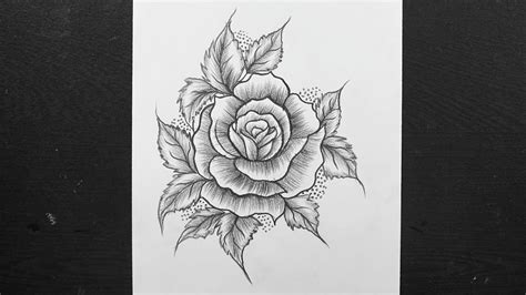 Rose Flower Drawing How To Draw Rose Pencil Drawing Easy Rose