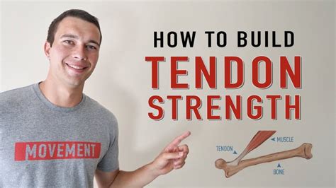 Best Way To Build Tendon Strength Isometrics Vs Eccentrics Youtube