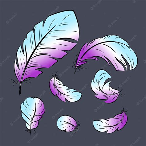 Premium Vector Feathers Of Different Shapes