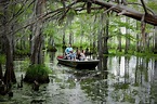 Tour the Honey Island Swamp - Cajun Encounters Tour Company, New Orleans
