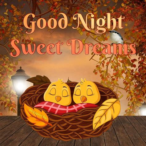 Sweet Good Night Images Good Night Love Quotes Good Night Sweet