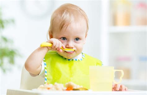 Como Introduzir Alimentos Na Dieta Do Bebé Lua Crescente