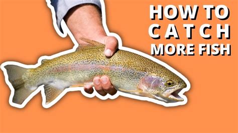 5 Fly Fishing Techniques That Will Catch You More Fish Youtube