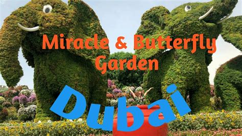 Dubai 2 Miracle And Butterfly Garden Adventure Youtube