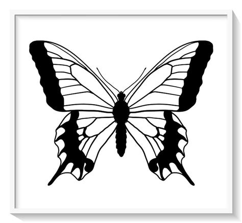 Mariposas para colorear + 100 diseños para pintar y darles vida