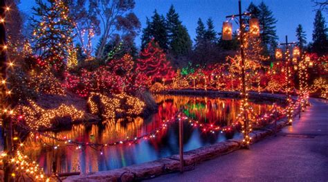 Experience A Winter Wonderland At Vandusen Garden Daily Hive Vancouver