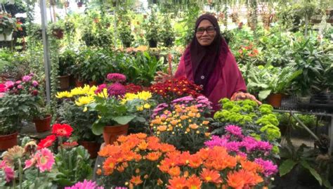 A place that is rich in history, the lepers in sungai located just off the highway heading towards shah alam and the subang airport, the nurseries are not difficult to find. Nursery Plant Sungai Buloh - Banyak Pokok Bunga Cantik Dan ...
