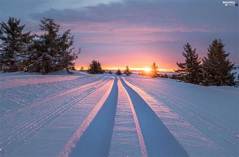 Trees Viewes Winter Snow Sunrise Beautiful Views Wallpapers