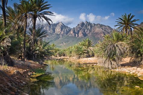 The World Most Beautiful Places Socotra Yemen