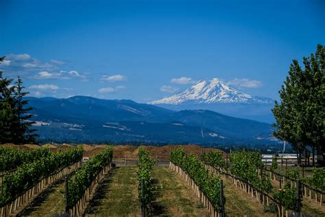 12 Best Hood River Wineries To Visit In Northern Oregon Go Wander Wild