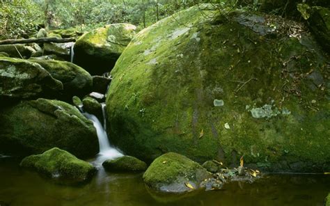 Rock Stones Moss Waterfall Timelapse Stream Hd Wallpaper Nature And
