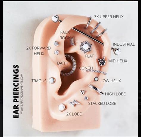 Piercing Chart Ear Piercing Diagram Ear Piercings Chart Types Of Ear