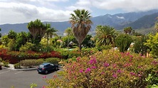 "Blick auf den Parkplatz!!..." Hotel La Palma Jardin (El Paso ...