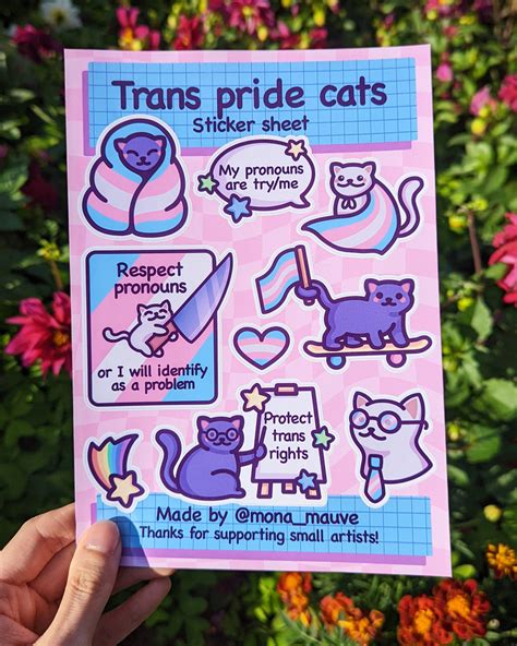 trans pride cats sticker sheet 9 cute lgbtq stickers etsy uk