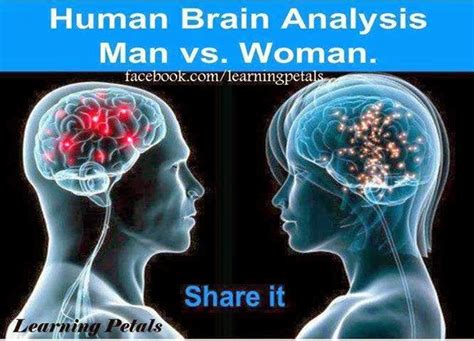 Human Brain Analysis Man Vs Woman ~ The Daily Post