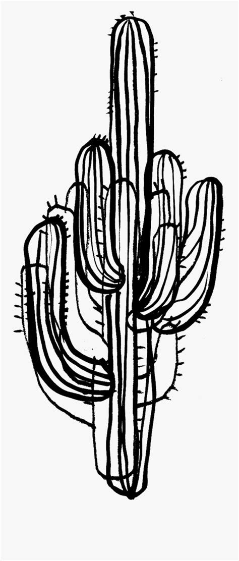 Saguaro Cactus Black And White Free Transparent Clipart Clipartkey