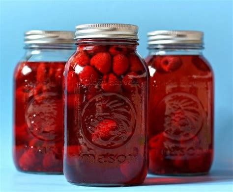 Homemade Raspberry Vinegar Recipe Homestead And Survival