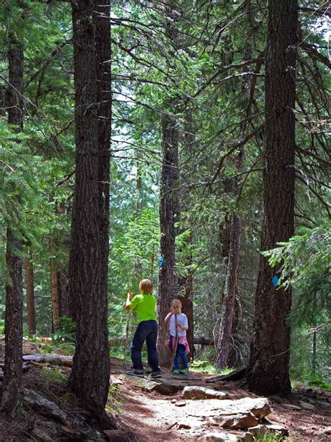 Mogollon Rims Woods Canyon Lake Hiking Trail Lakeside Fun