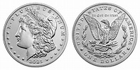 2021 D Morgan Silver Dollar Coin Value Prices, Photos & Info