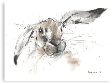 Charcoal Hare Canvas Print By Luci Power In 2021 Charcoal Drawing