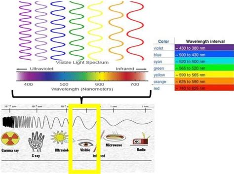 Visible light | Visible light spectrum, Visible light, Electromagnetic ...